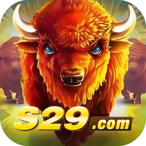 s29